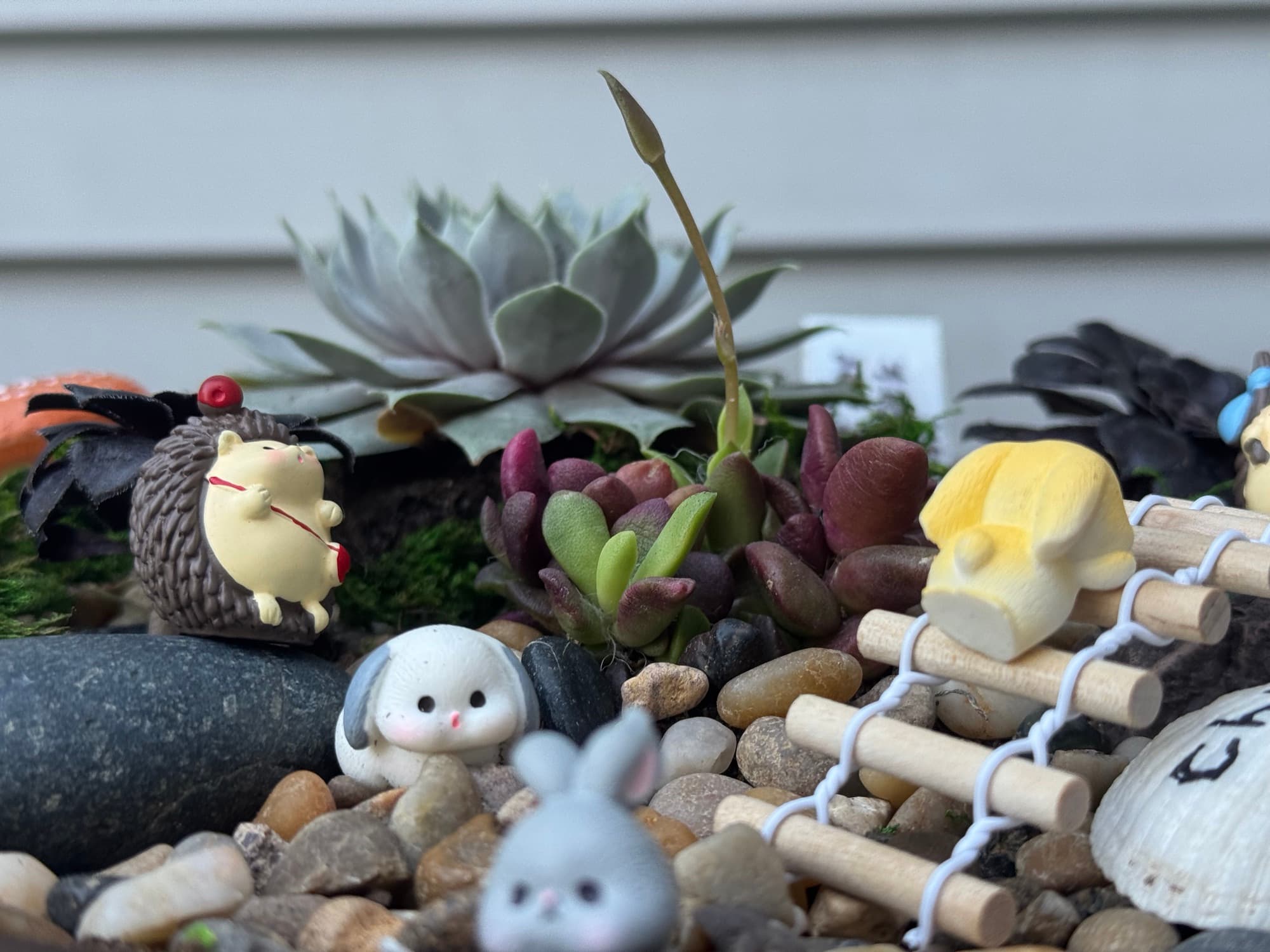 Close view into one of the worlds — moss, a pebble river, a rope bridge and small creatures among the succulents.