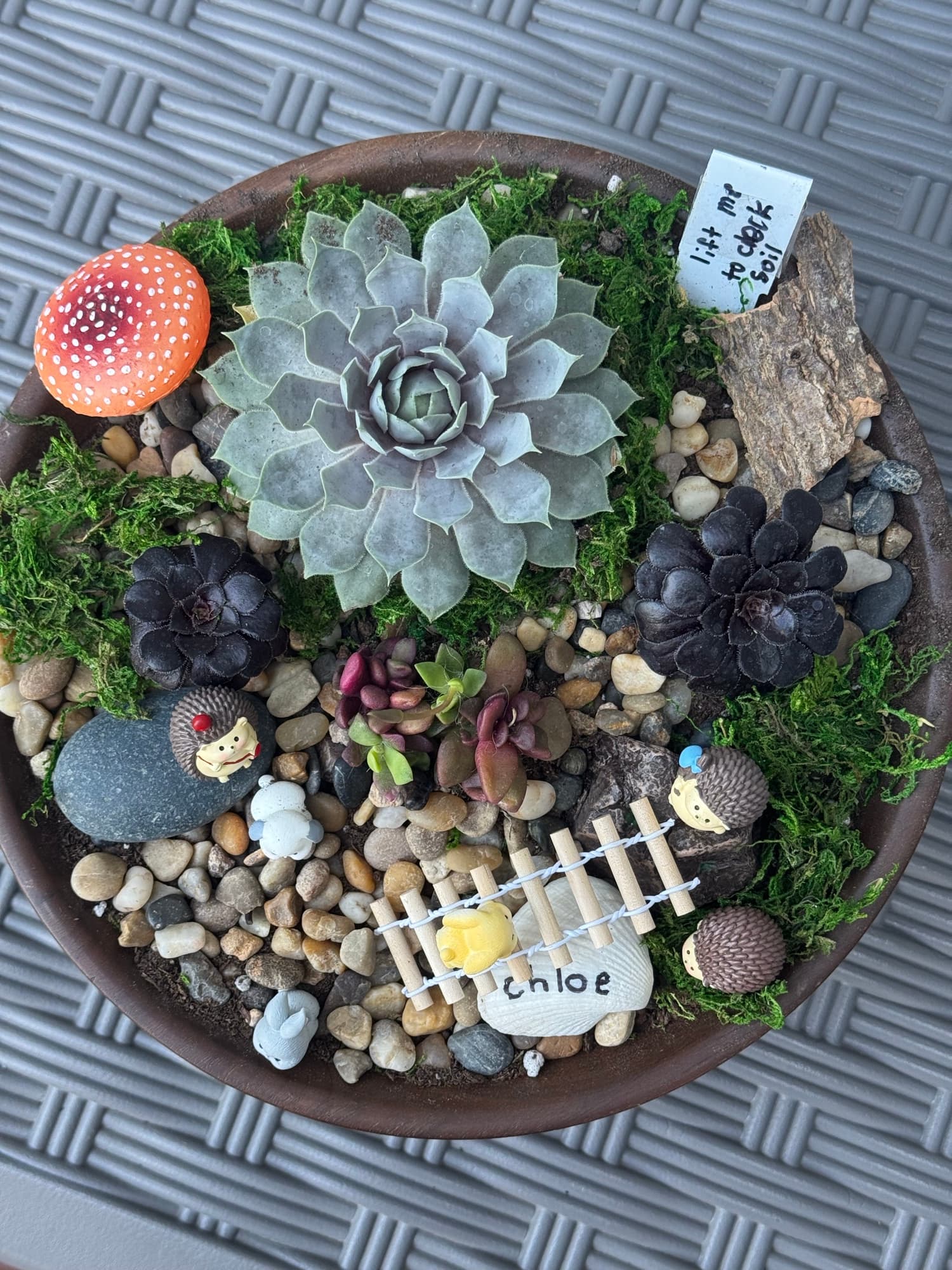One of the sisters' finished worlds seen from above — a pale rosette in moss, a pebble river, a rope bridge and small creatures.